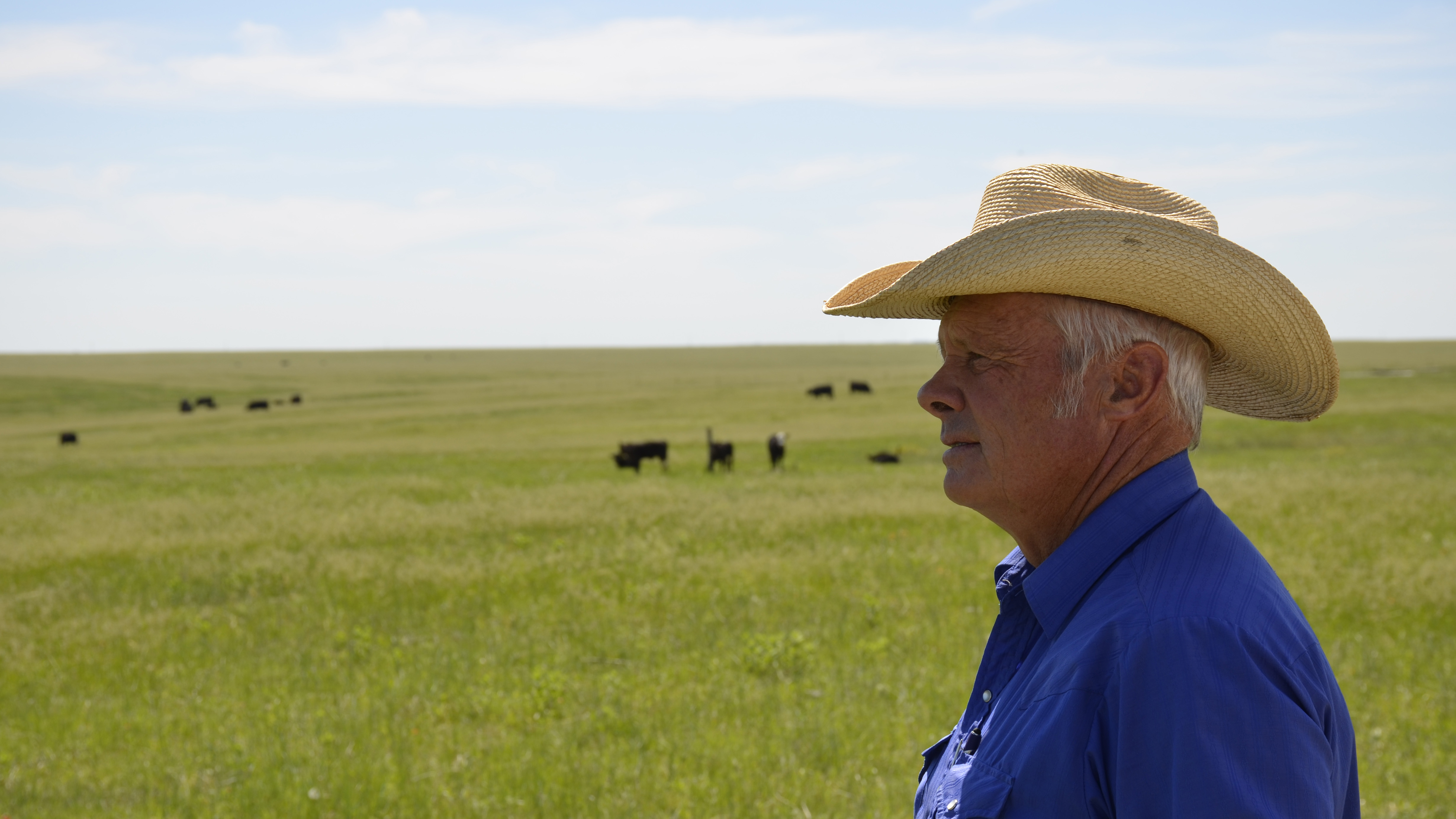 Kenny Fox at his cattle ranch in Belvidere, South Dakota. Fox, who is a third-generation South Dakota rancher, would like his sons to be able to continue in his footsteps, but worries that the economics are making it too difficult.  